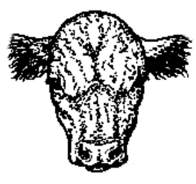 Protect your calves from ear frost bite